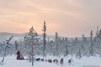 Lapland winter break