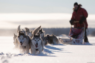 Brändön-Lodge-Lulea