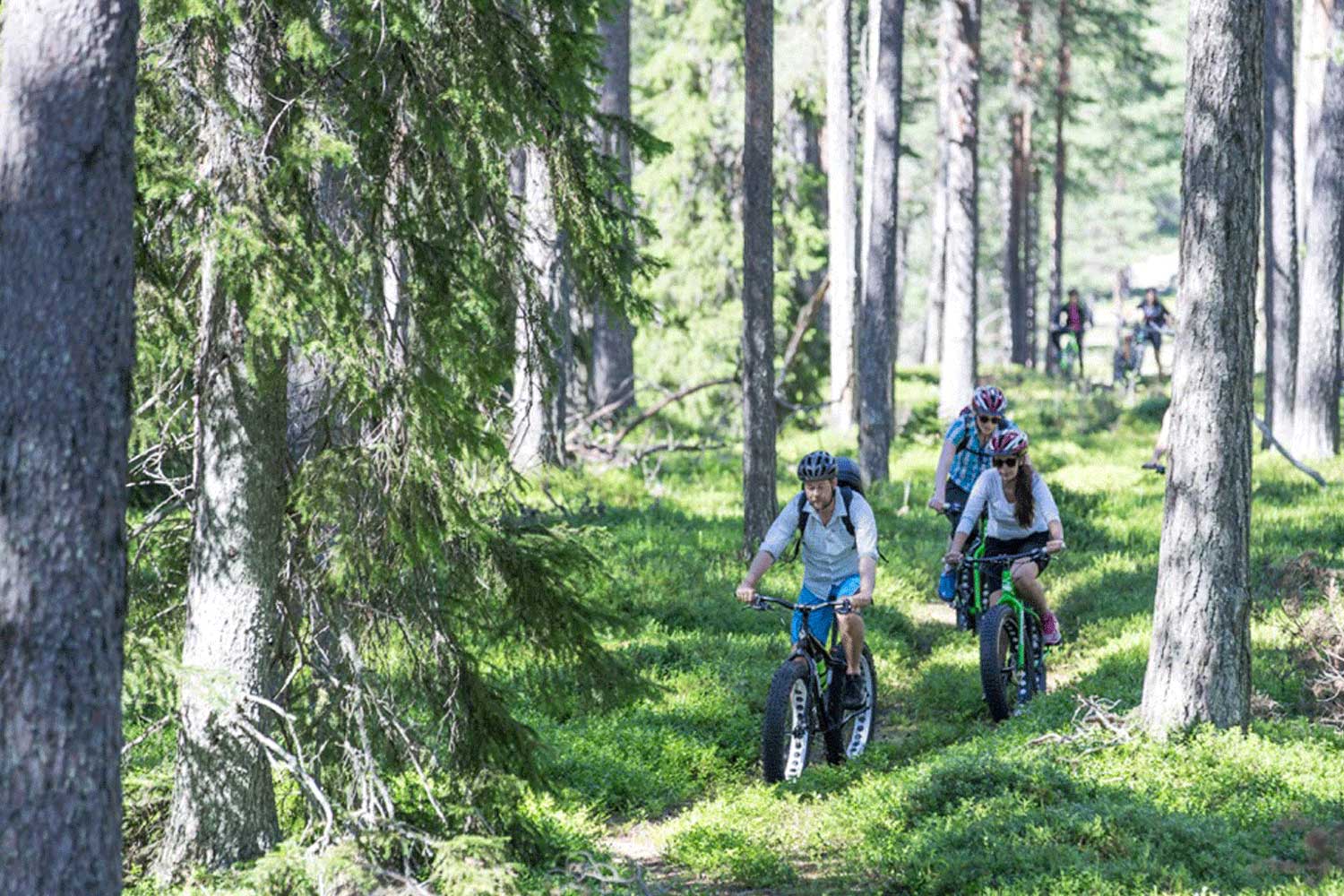 fat bike lulea activities Luleå