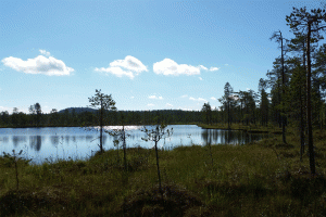 Swedish Lapland nature Luleå