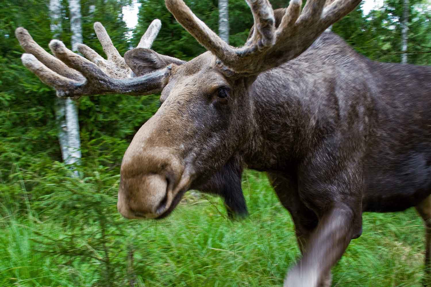 Rondreizen Lapland Rondreizen Lapland