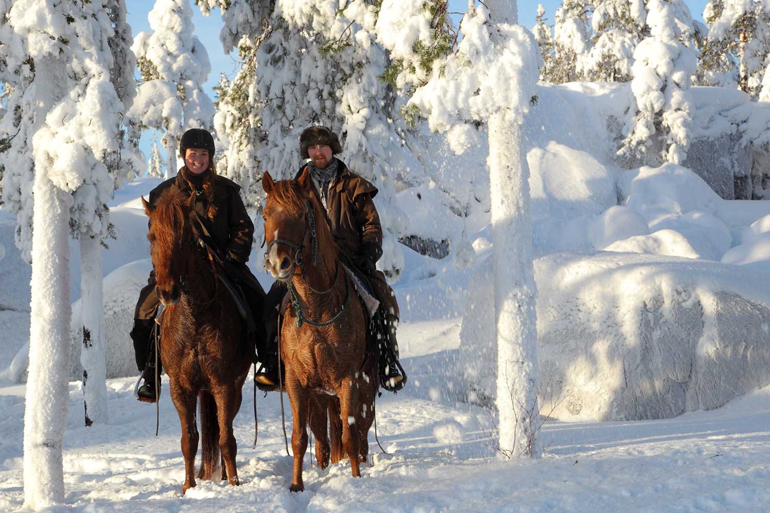 Lapland-Sweden-Horse-Riding