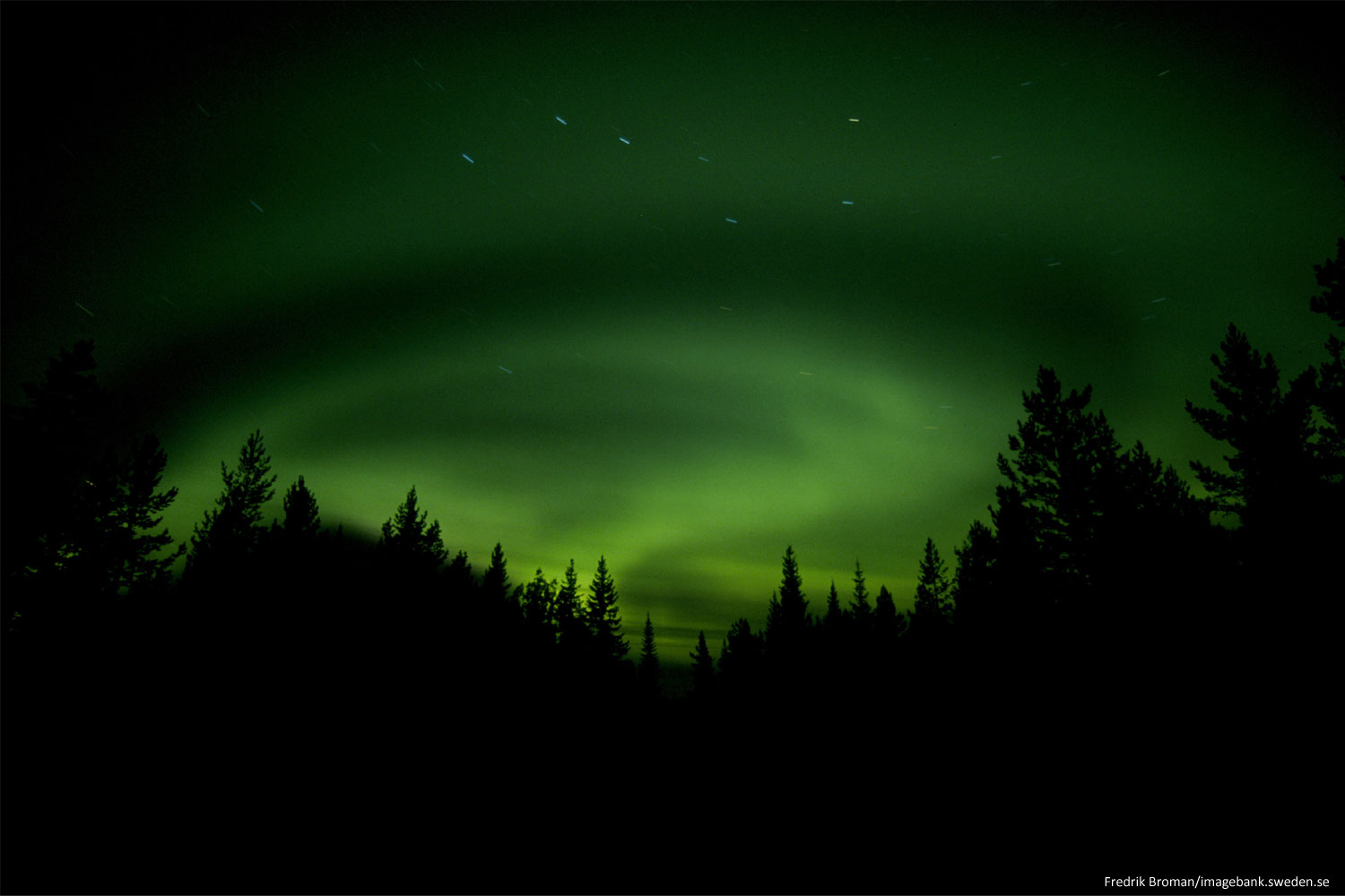 Northern lights Luleå Northern lights Luleå