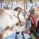 zweeds lapland rondreis