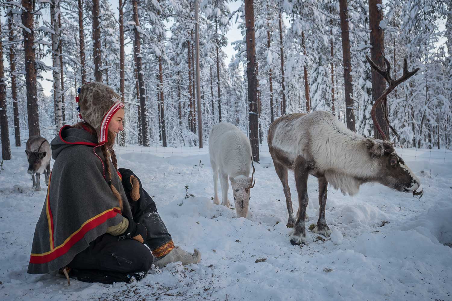 sami culture experience sami culture experience