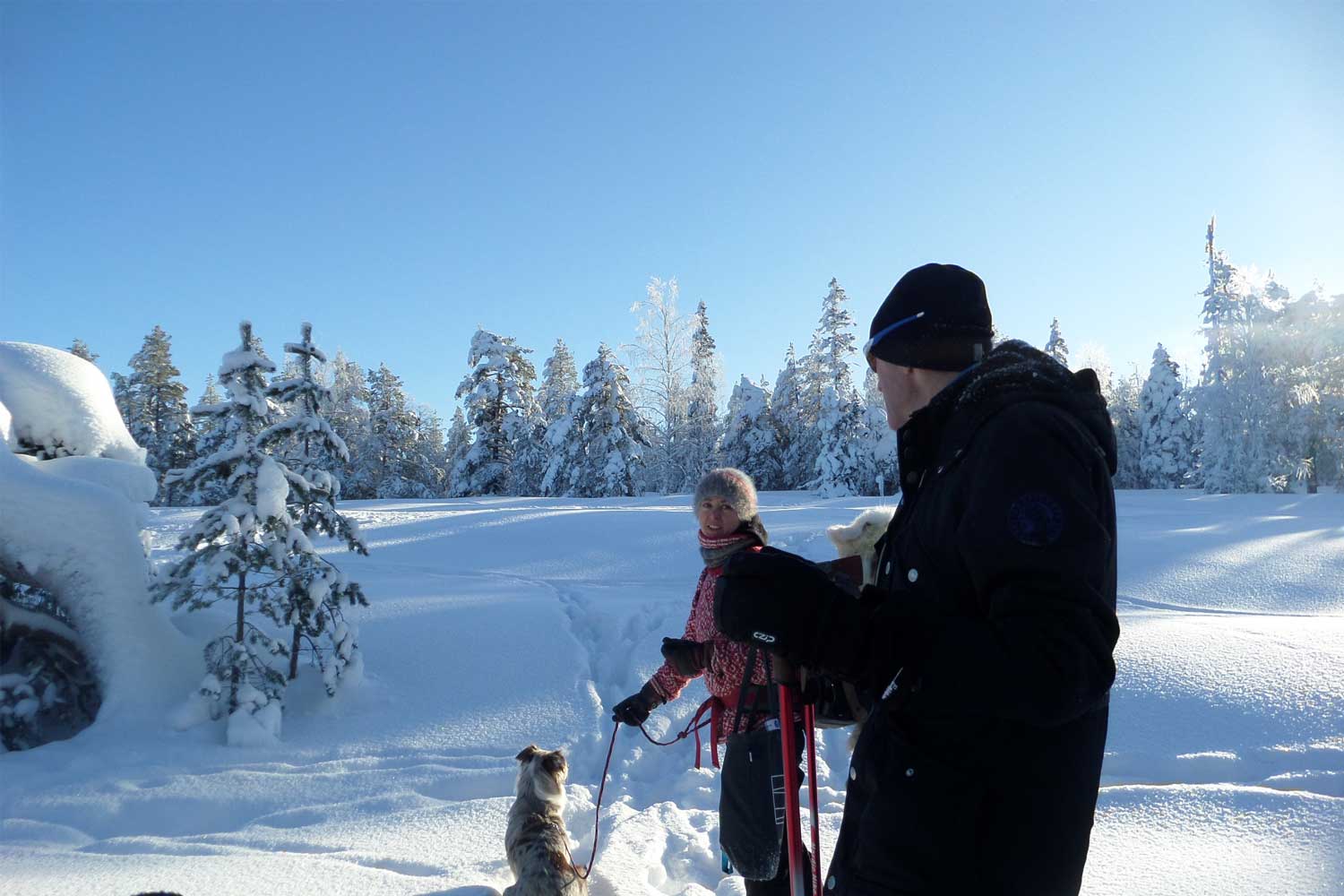 Sneeuwschoen wandeling zweden Sneeuwschoen wandeling zweden