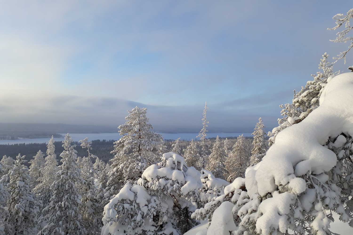 snowshoe-walking-luleå snowshoe-walking-luleå