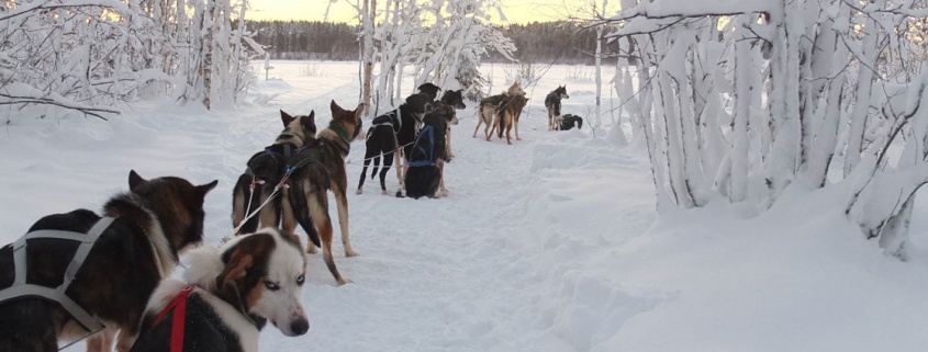 Zweeds-Lapland Wintersport