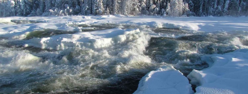 Zweeds lapland winter