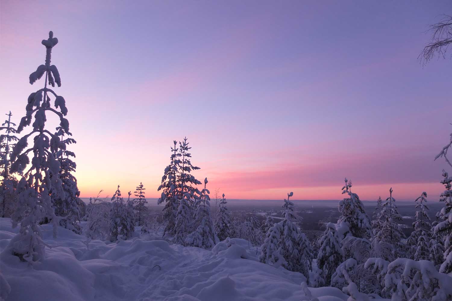 Lulea-snowshoe tours