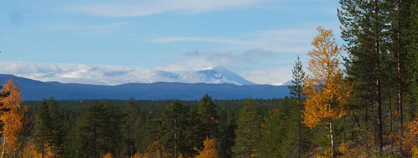 auto reis zweden lapland