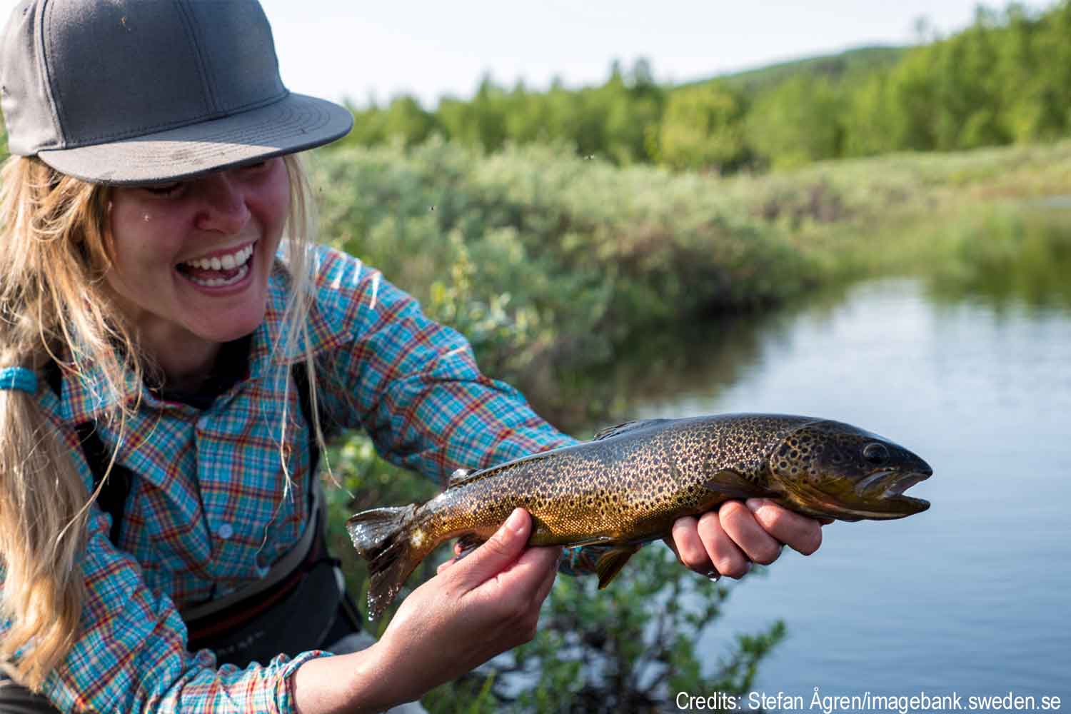 lulea fishing Laponia Word Heritages site - visitor center