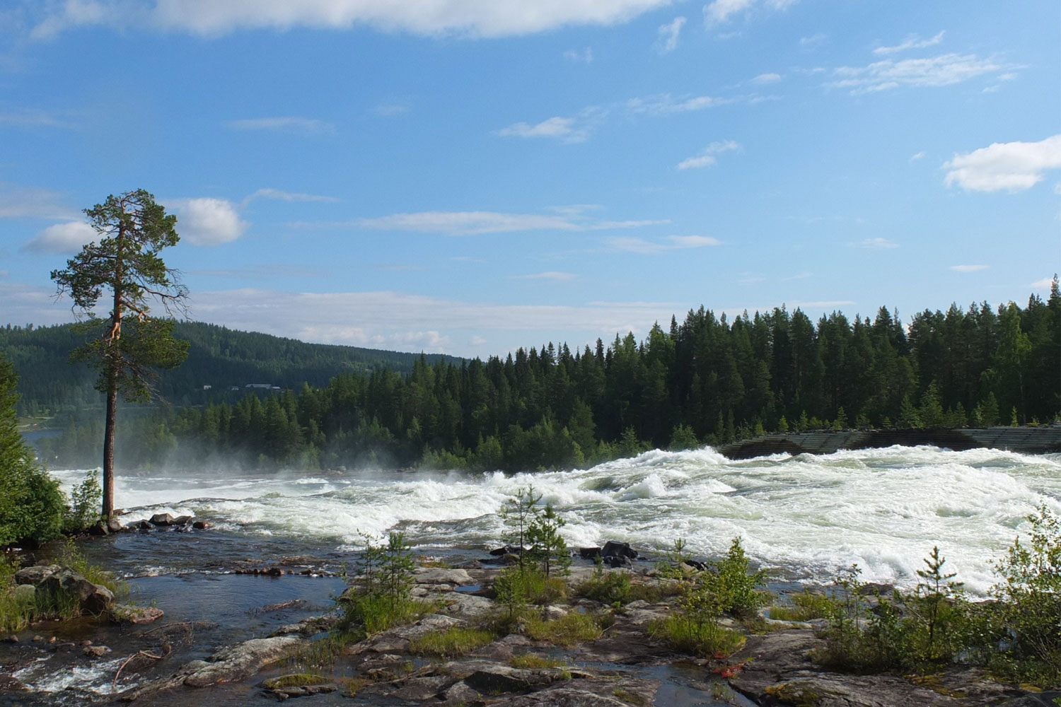 storforsen guided tour storforsen guided tour