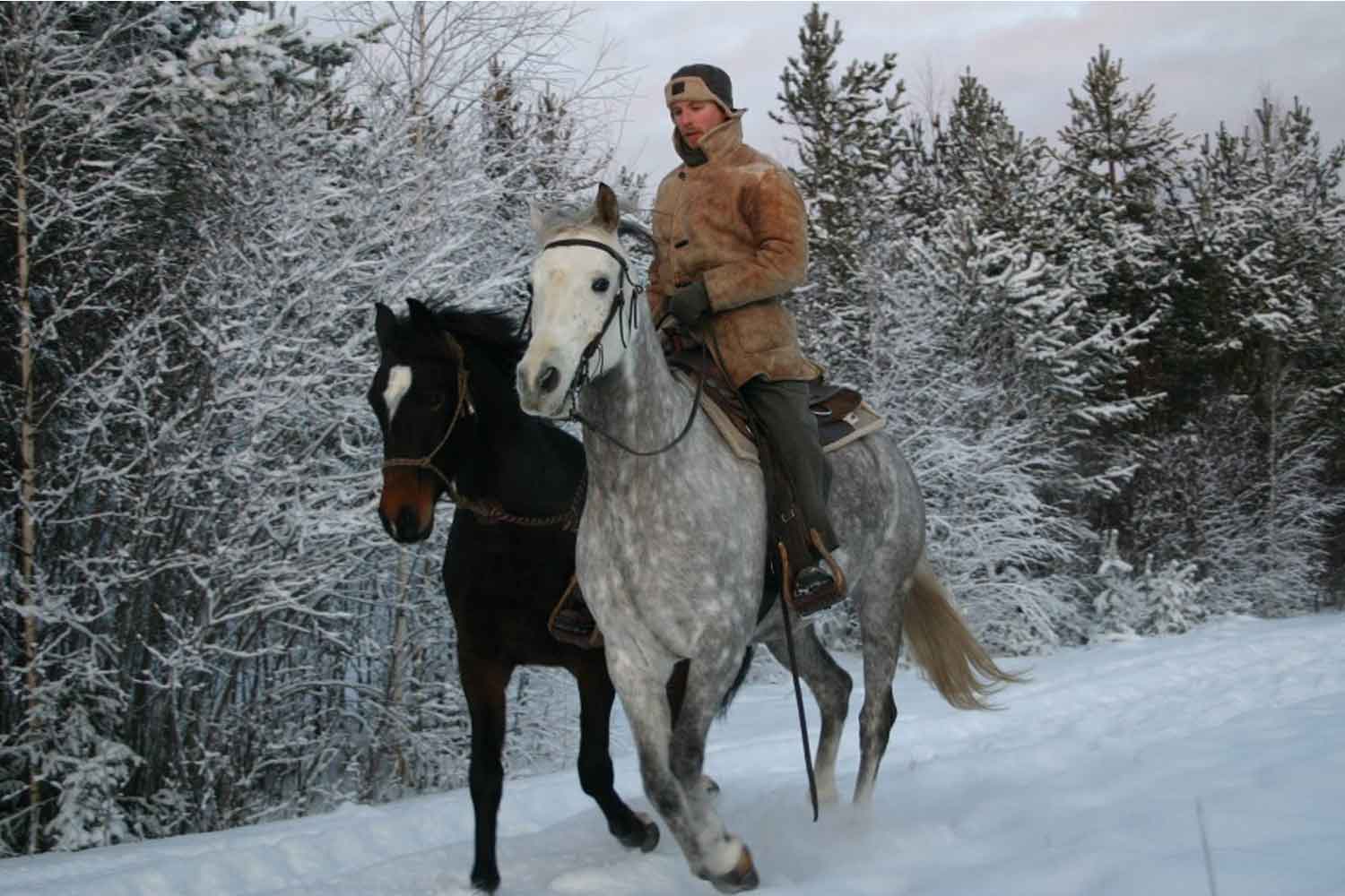 horse-riding-lulea horse riding lulea