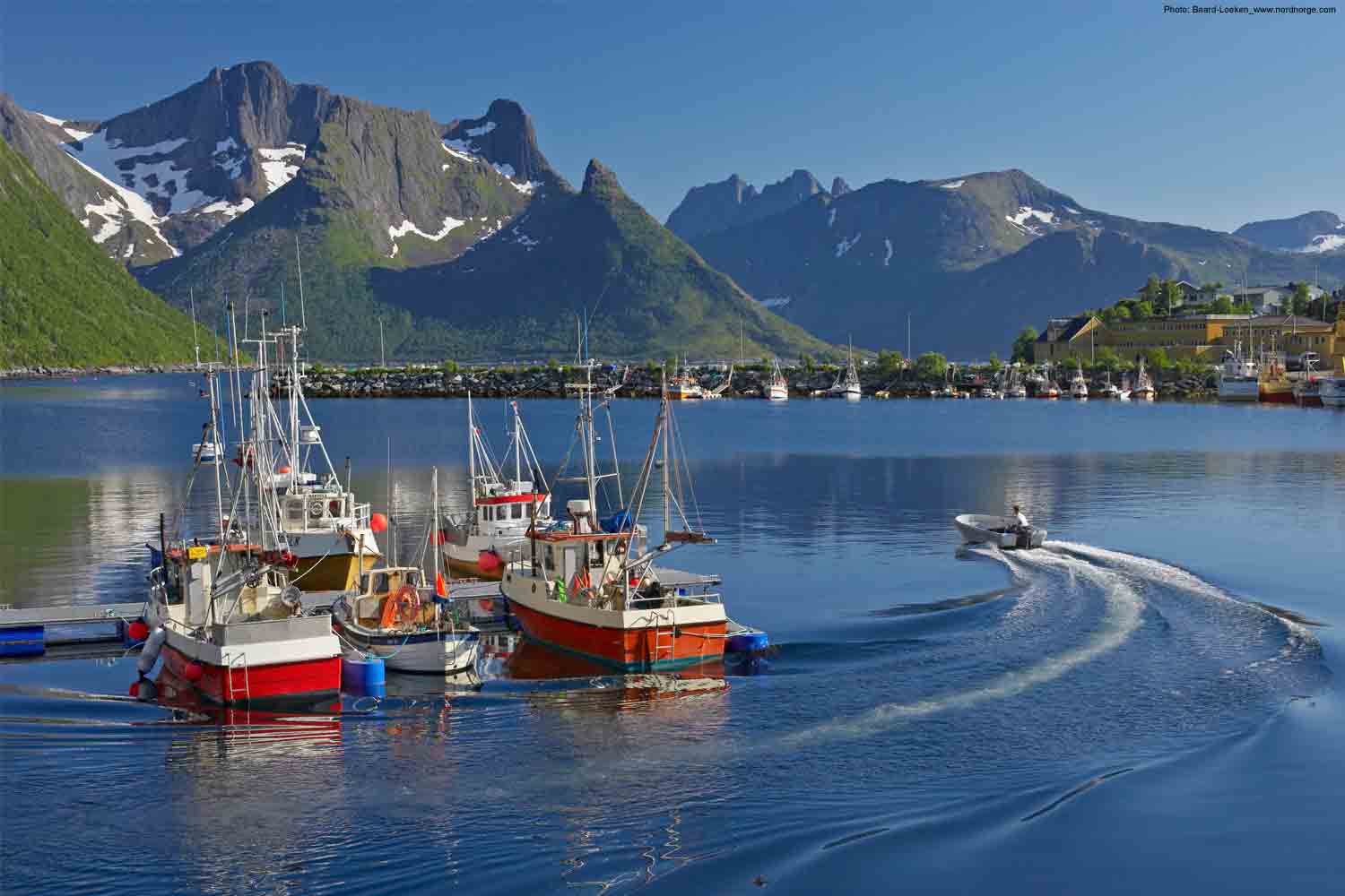 Senja-holiday-norway Senja-holiday-norway