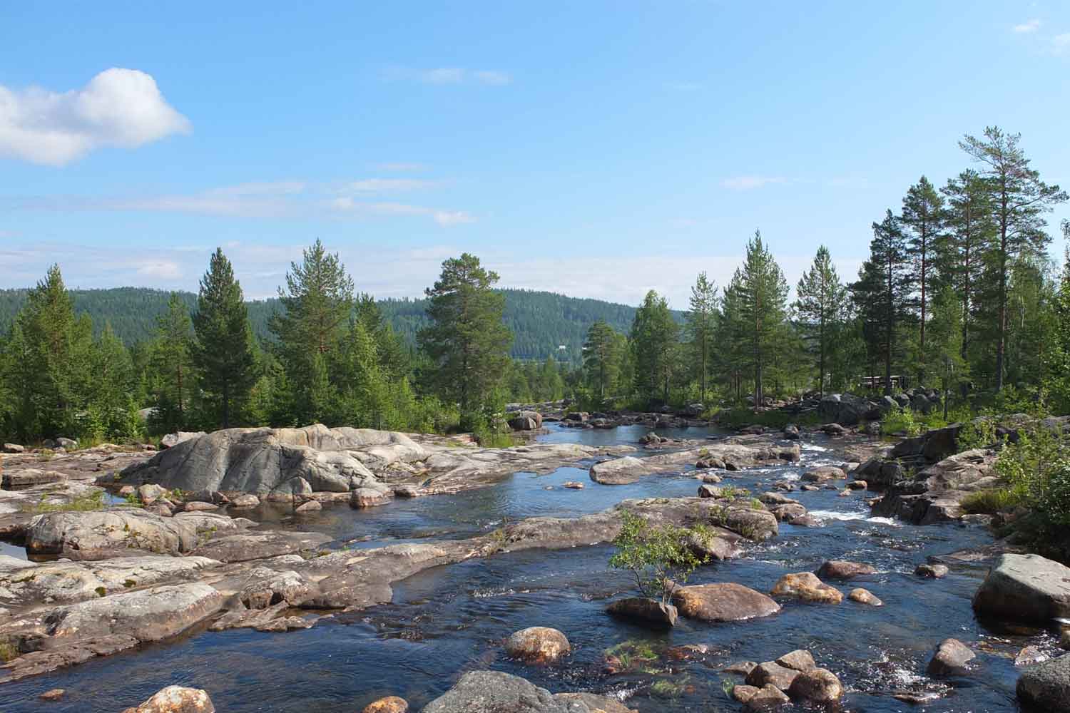 guided tour storforsen guided tour storforsen