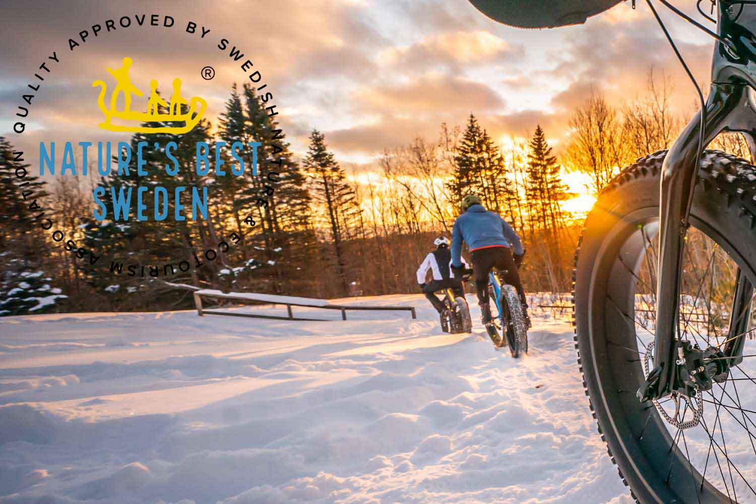 activities lulea winter
