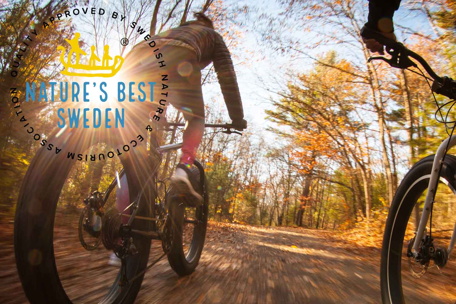 biking tours lulea biking tours lulea