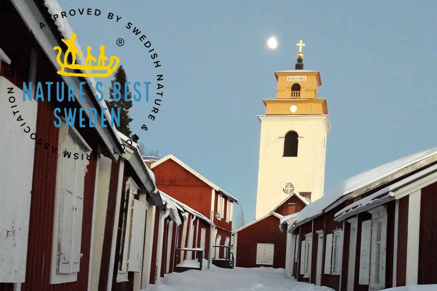 guided tours luleå