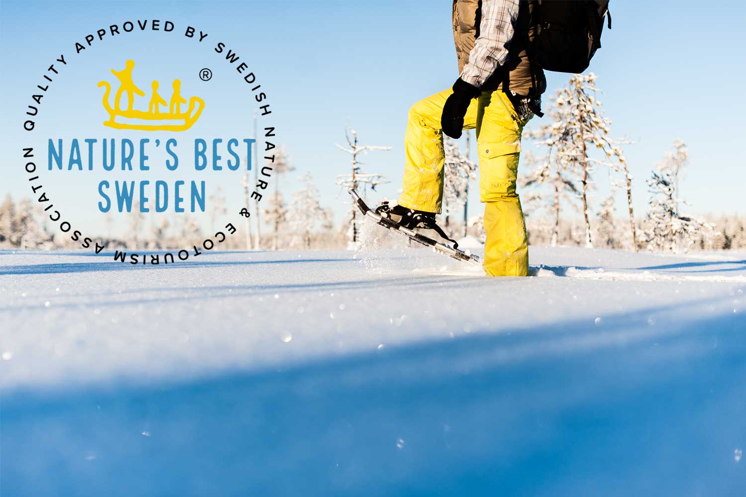snowshoe walking lulea