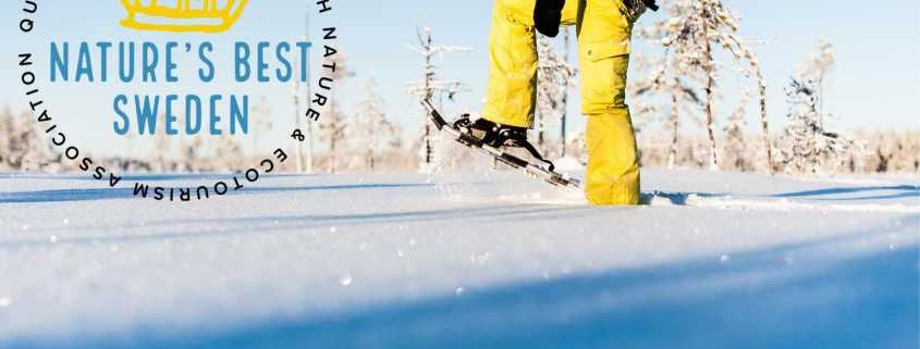 winter activities in Luleå