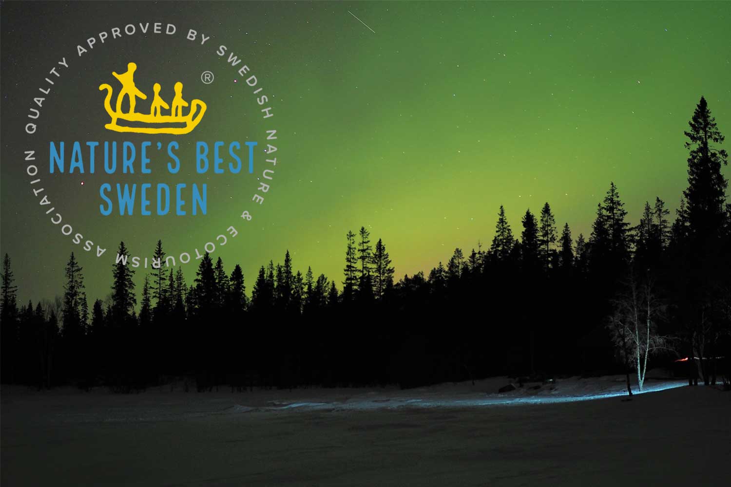 Northern Lights tours lulea