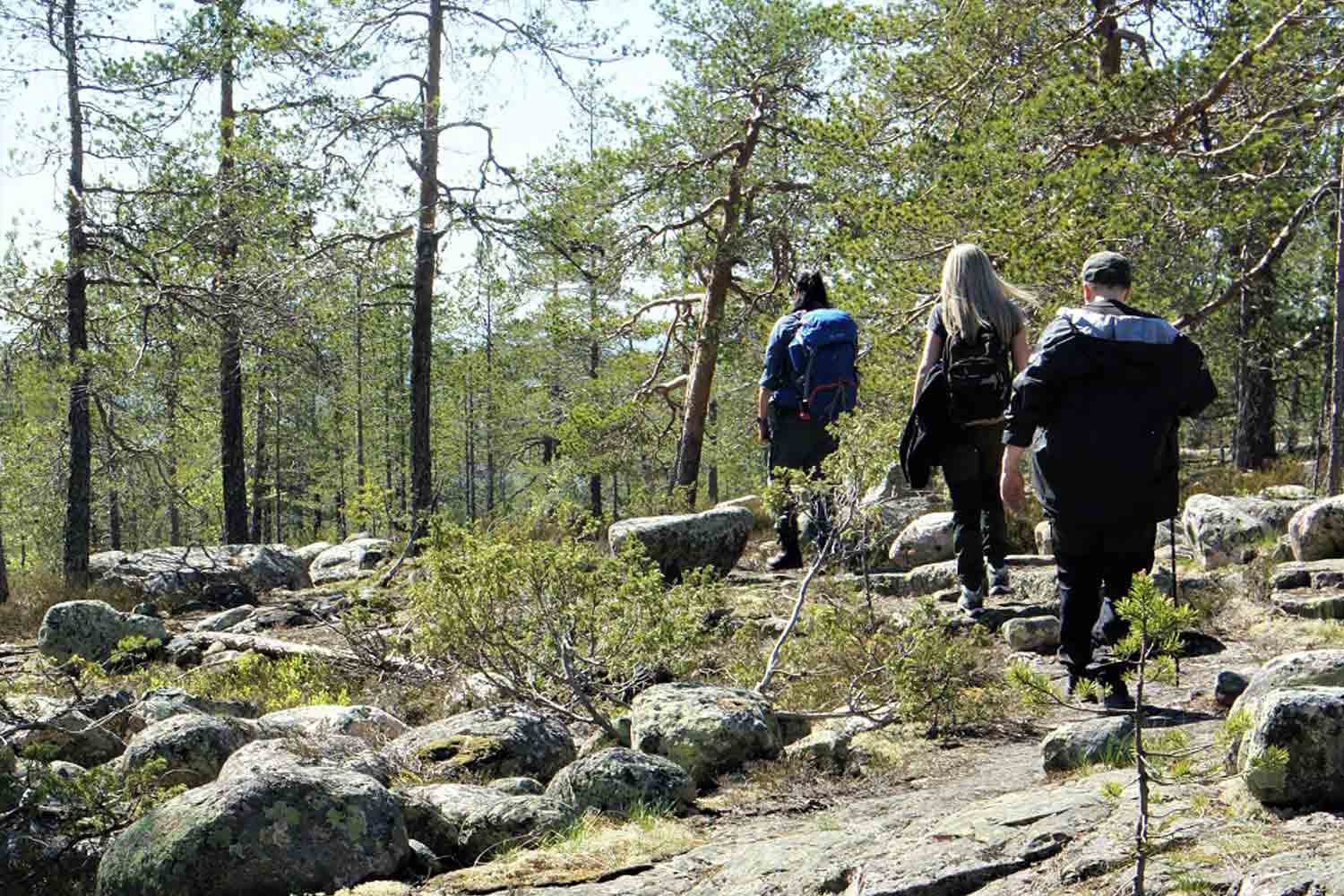 Lulea-nature-guiding