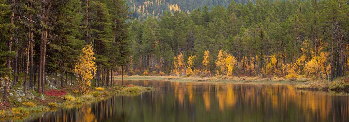 swedish-lapland-autumn-holi