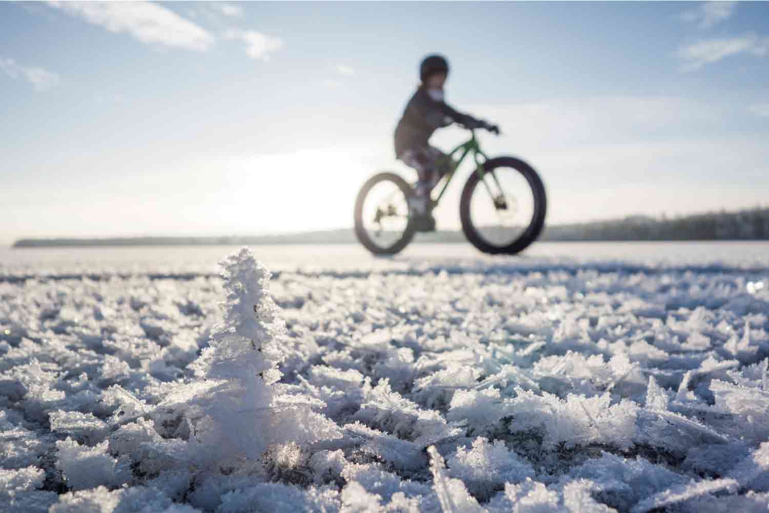 aurora-safari-camp-bike