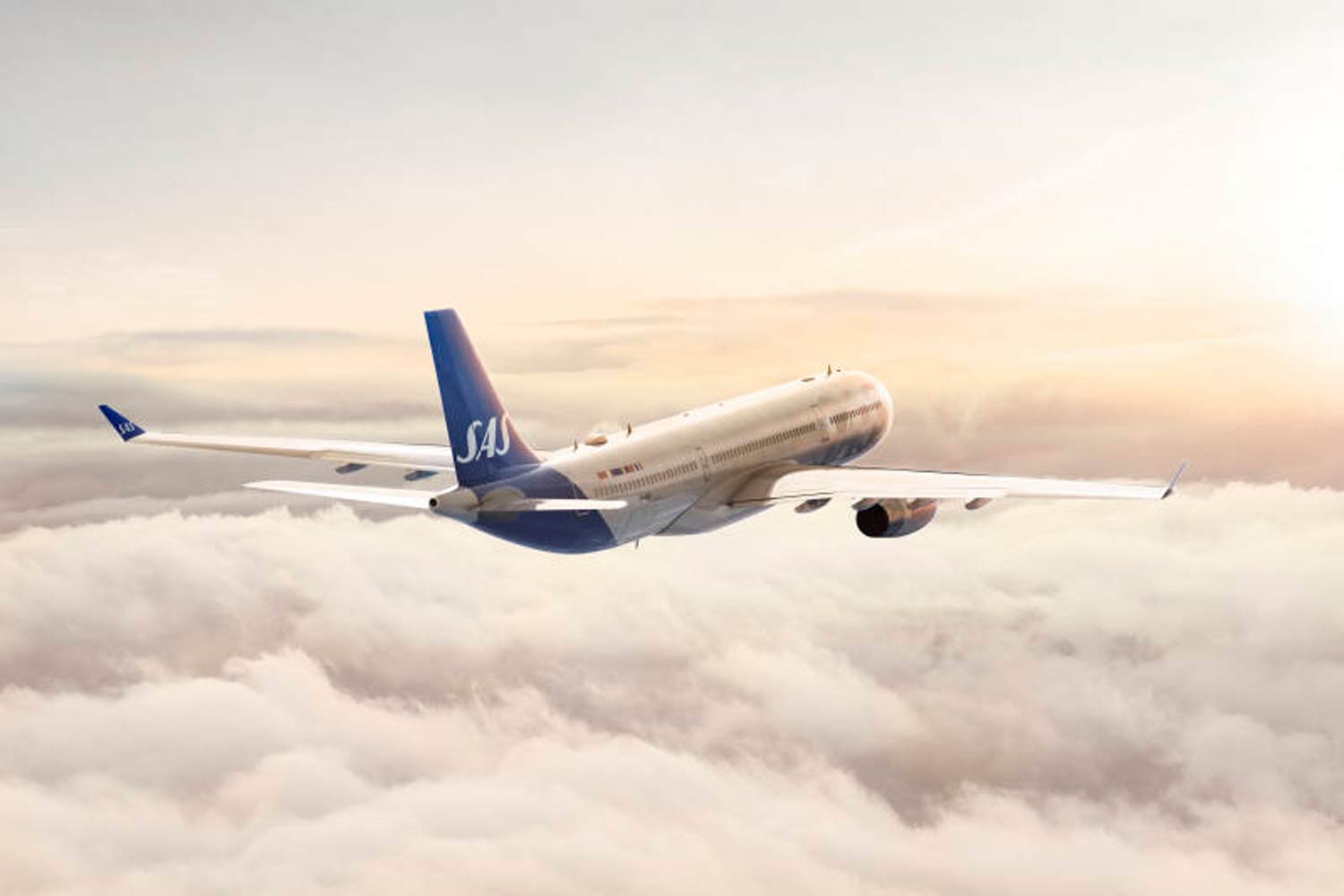 fly-sas