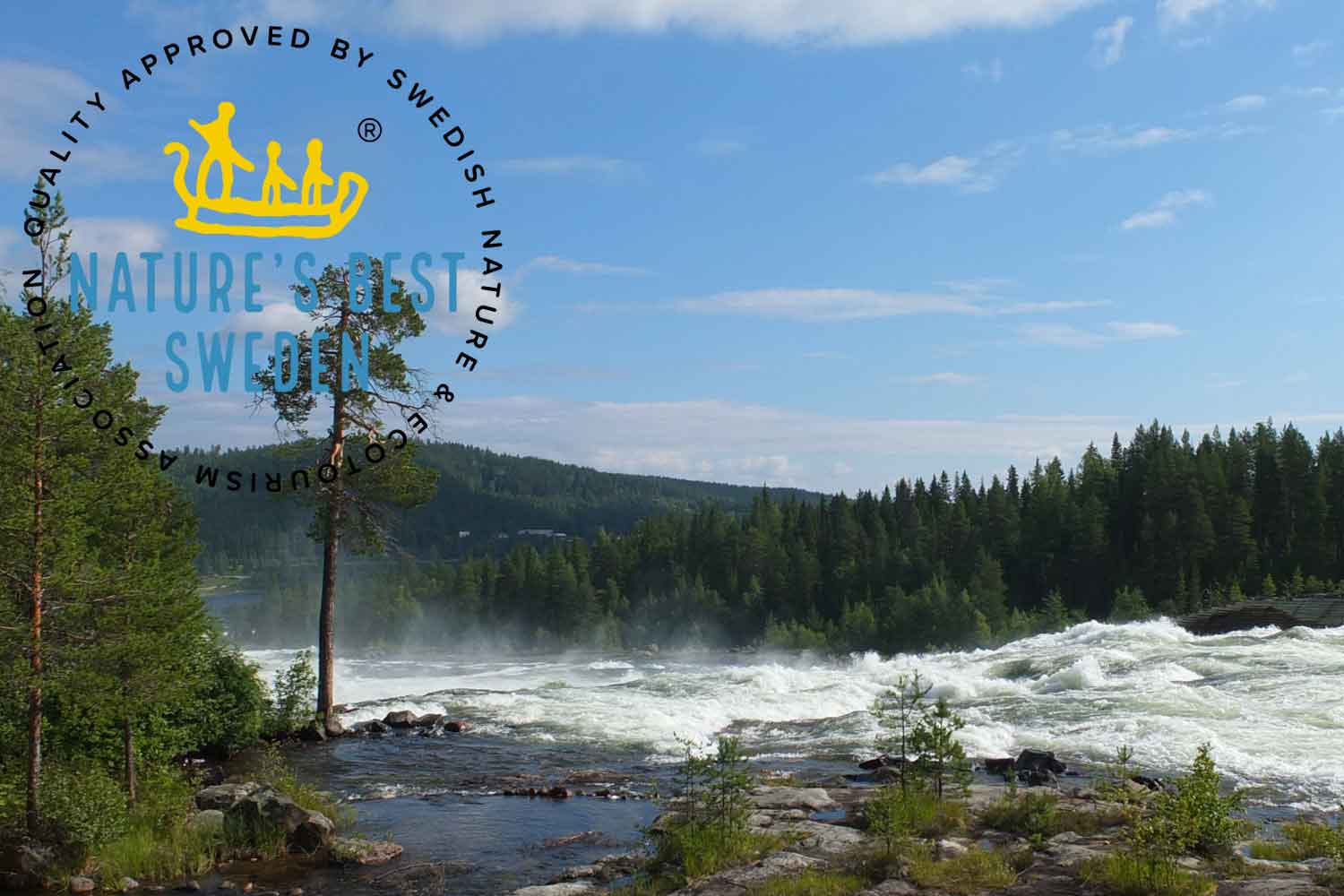 storforsen rapids lulea storforsen rapids lulea