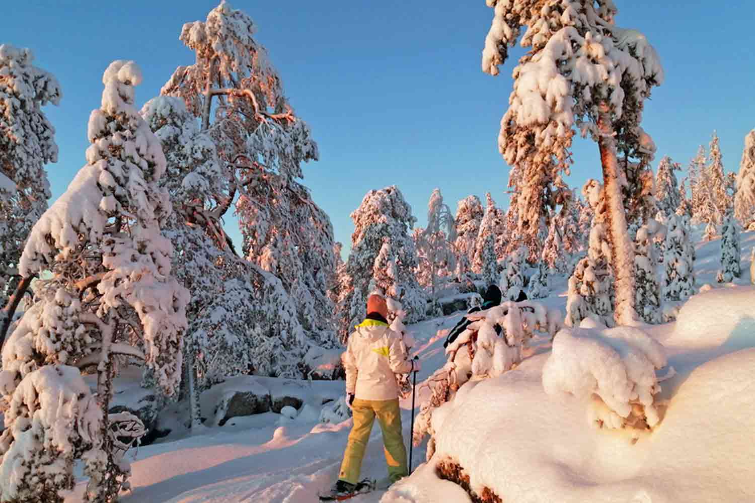 snowshoe walk lulea winter snowshoe walk lulea winter