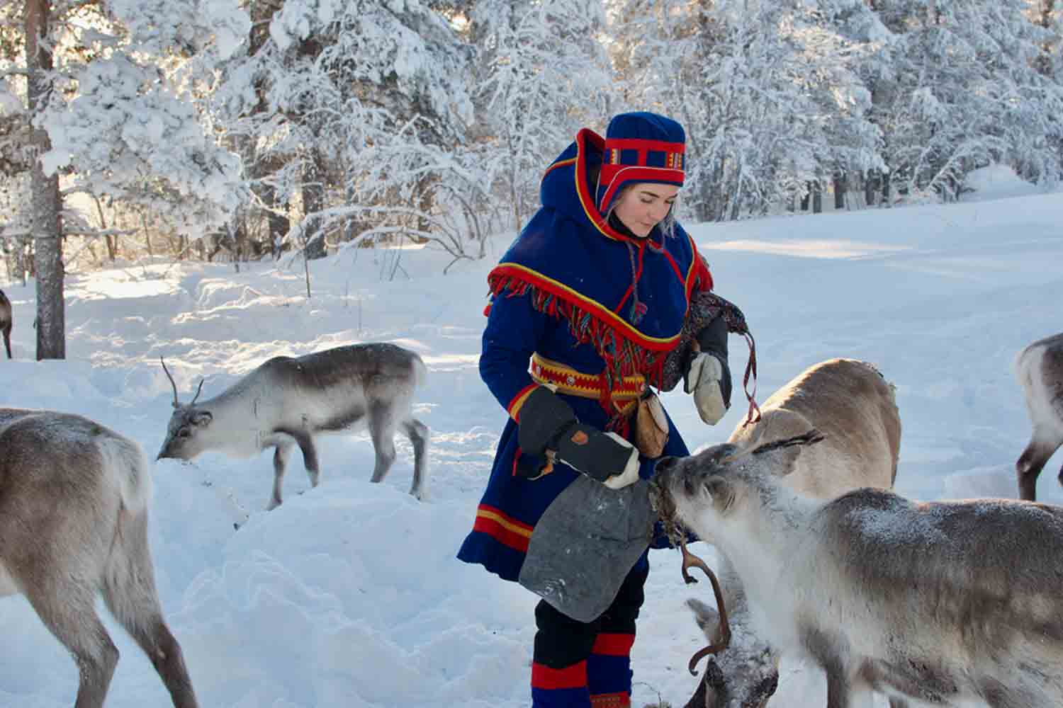 Sami Kiruna Holiday Sami Kiruna Holiday