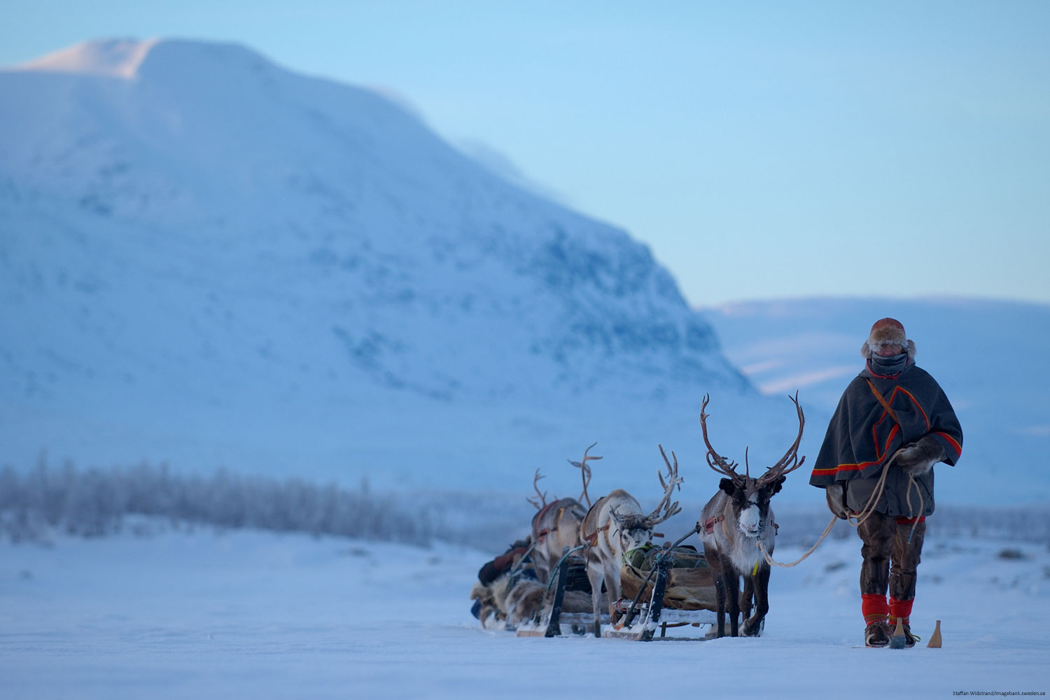 Lapland holiday packages, Jokkmokk winter market