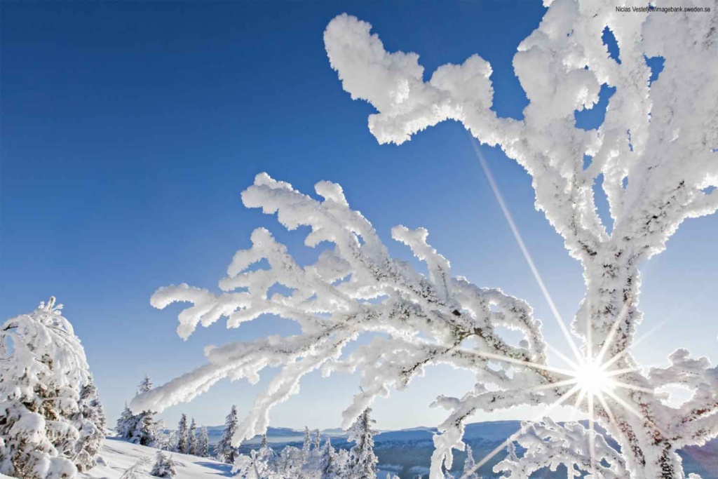Luleå Winter Break