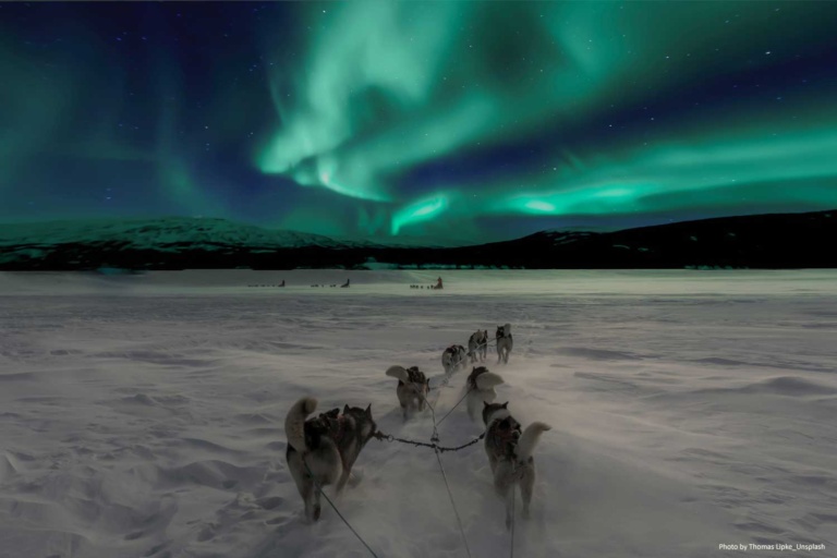 Reindeer Northern Lights dogsled Thomas Lipke