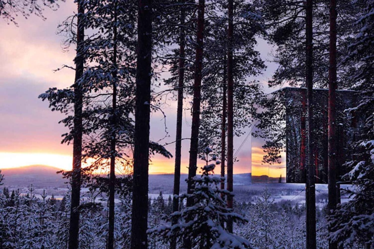 Tree hotel Highlights Swedish Lapland