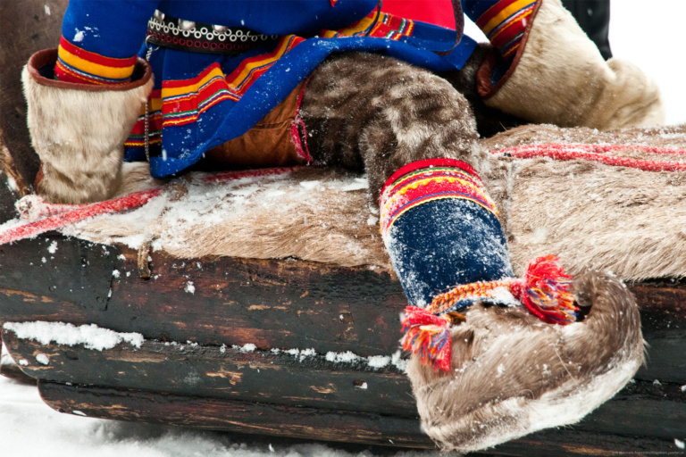 Jokkmokk Winter Market, Reindeer Northern Lights