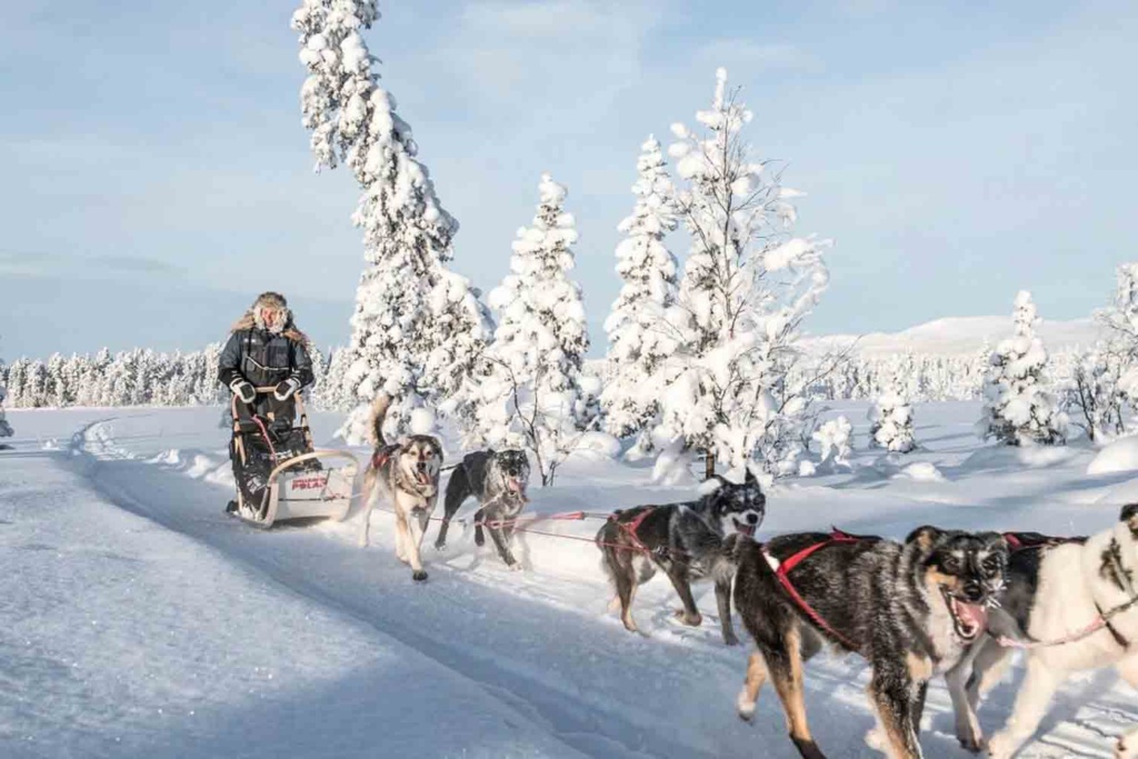 Icehotel Dogsledding winter holiday sweden