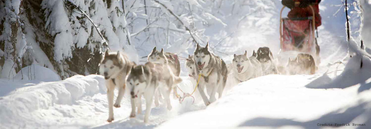 Sweden-Winter-Holiday-Credit-Fredrik-Broman