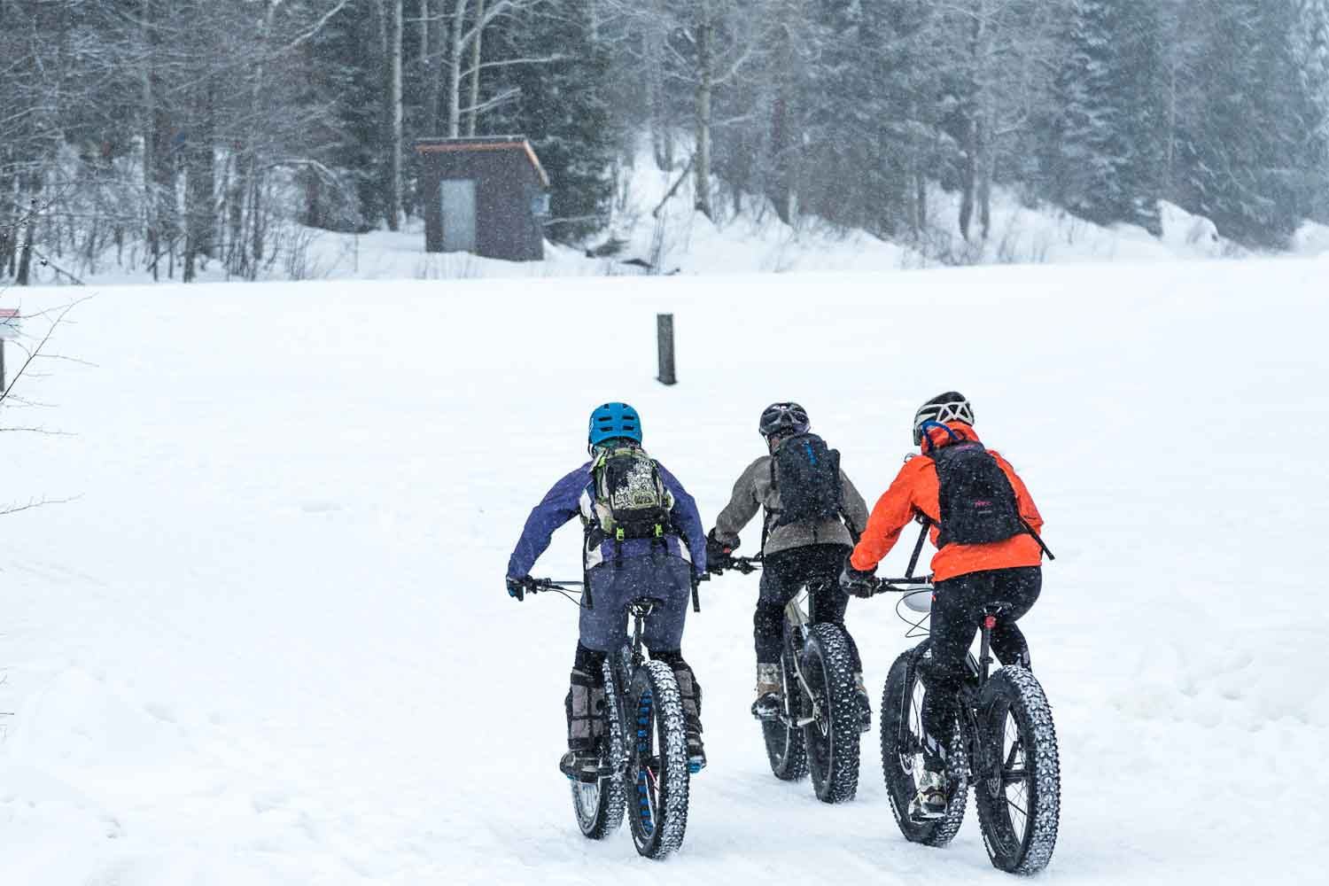 fatbike lulea guided tours rental