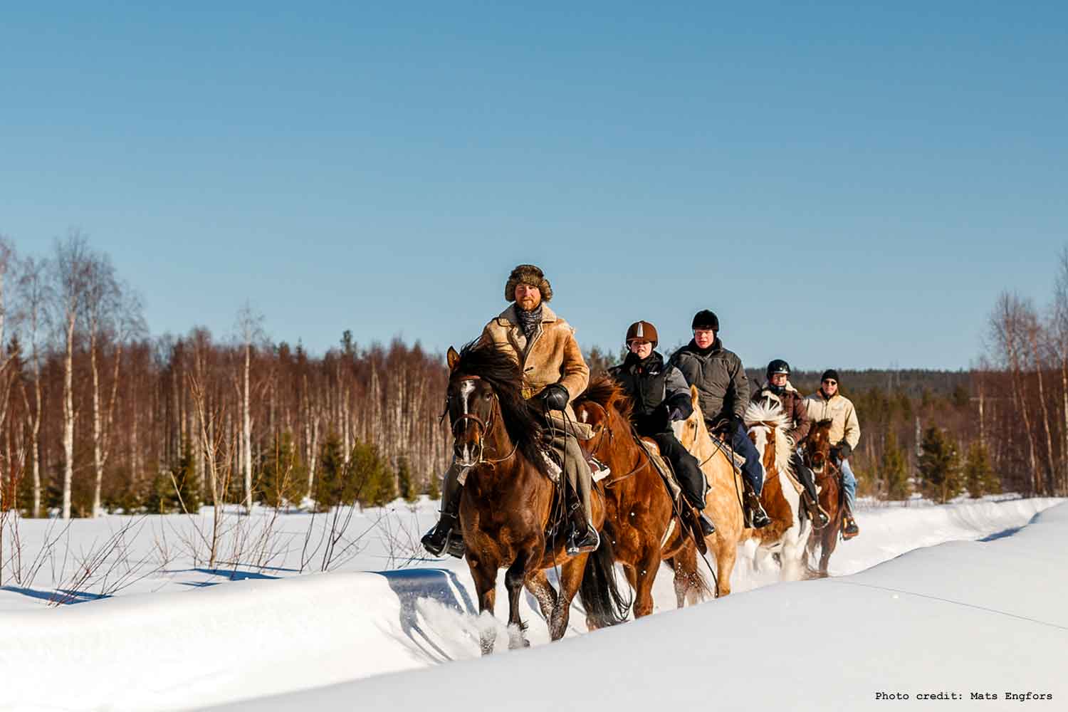 horse riding winter lulea