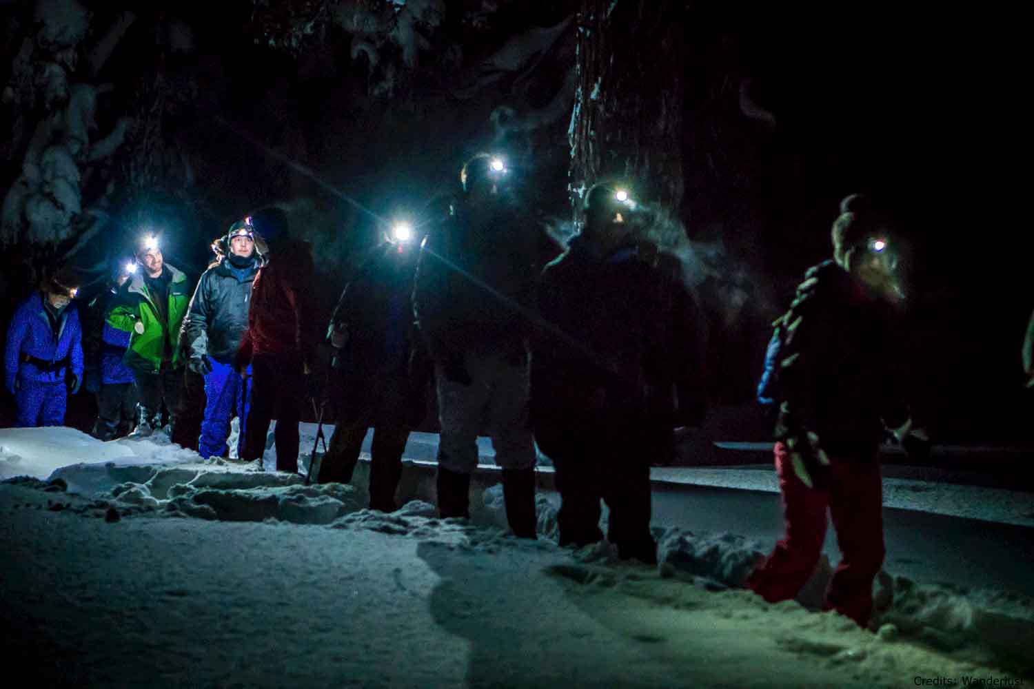 Norhtern Lights Lulea snowshoe