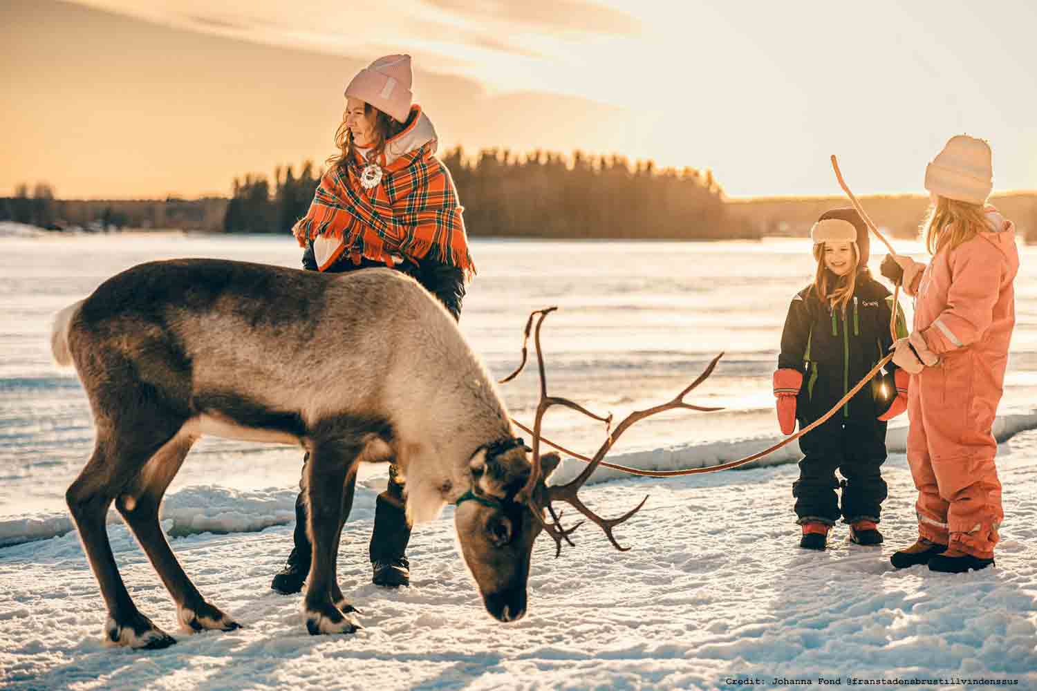 Feed-the-reindeer-lavvu_credit-Par-Lundstrom-@Taigapic