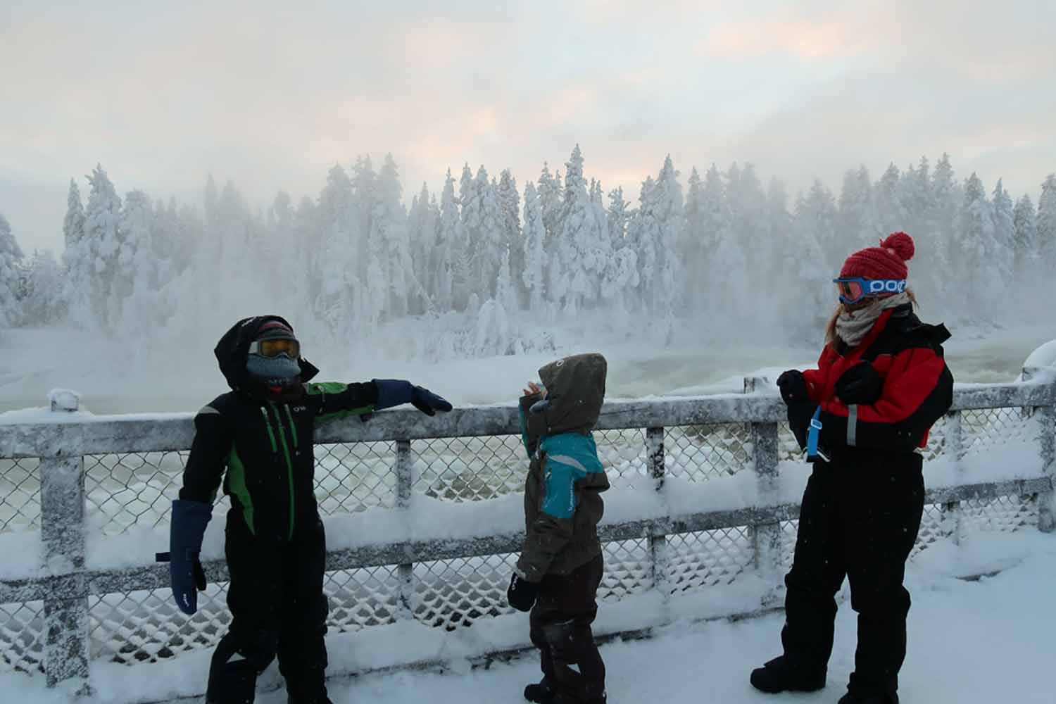 Lulea best guided tours