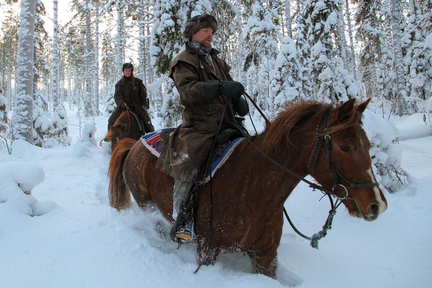 horse riding tours lulea