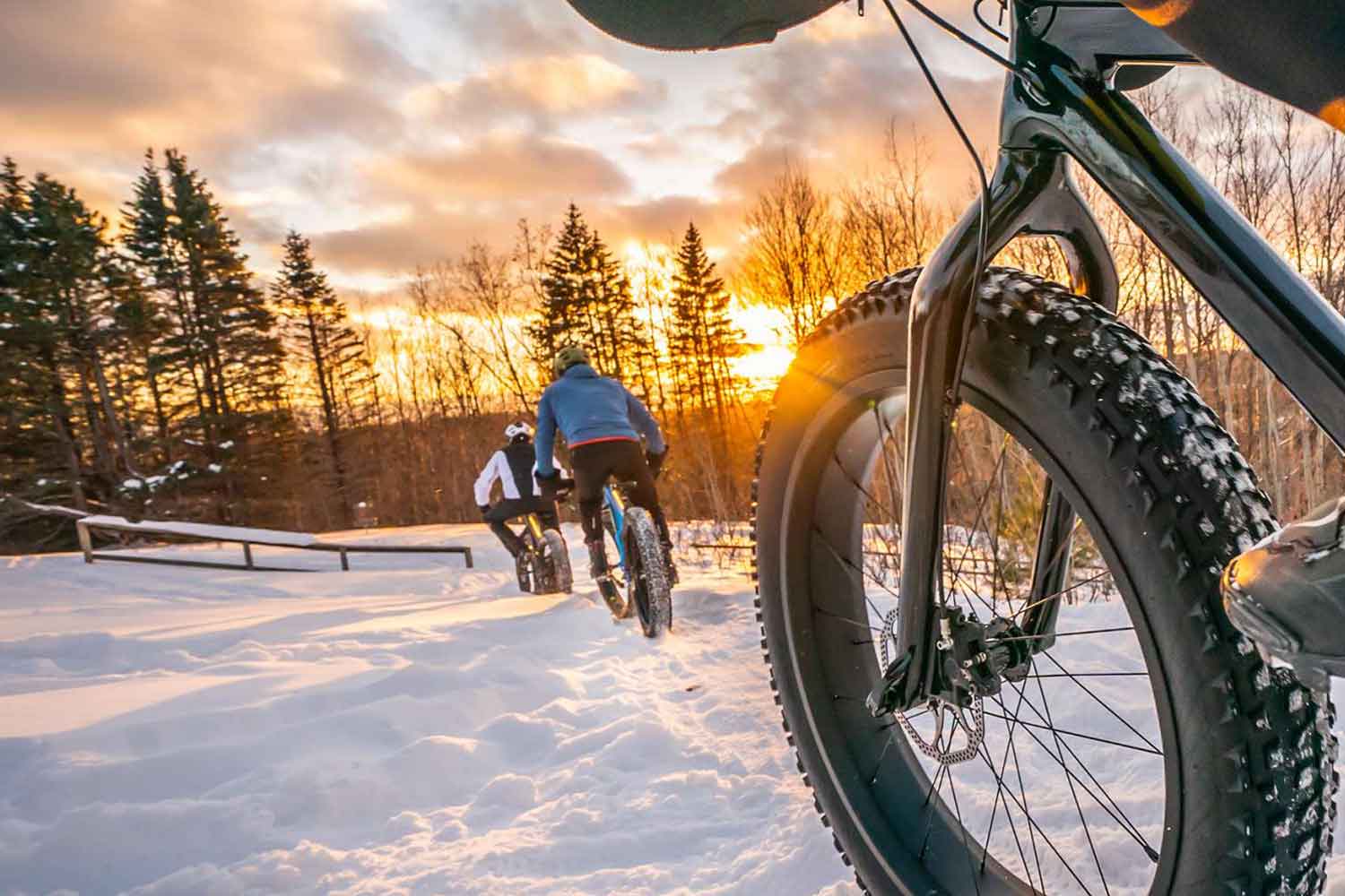 bike tours rental guided lulea