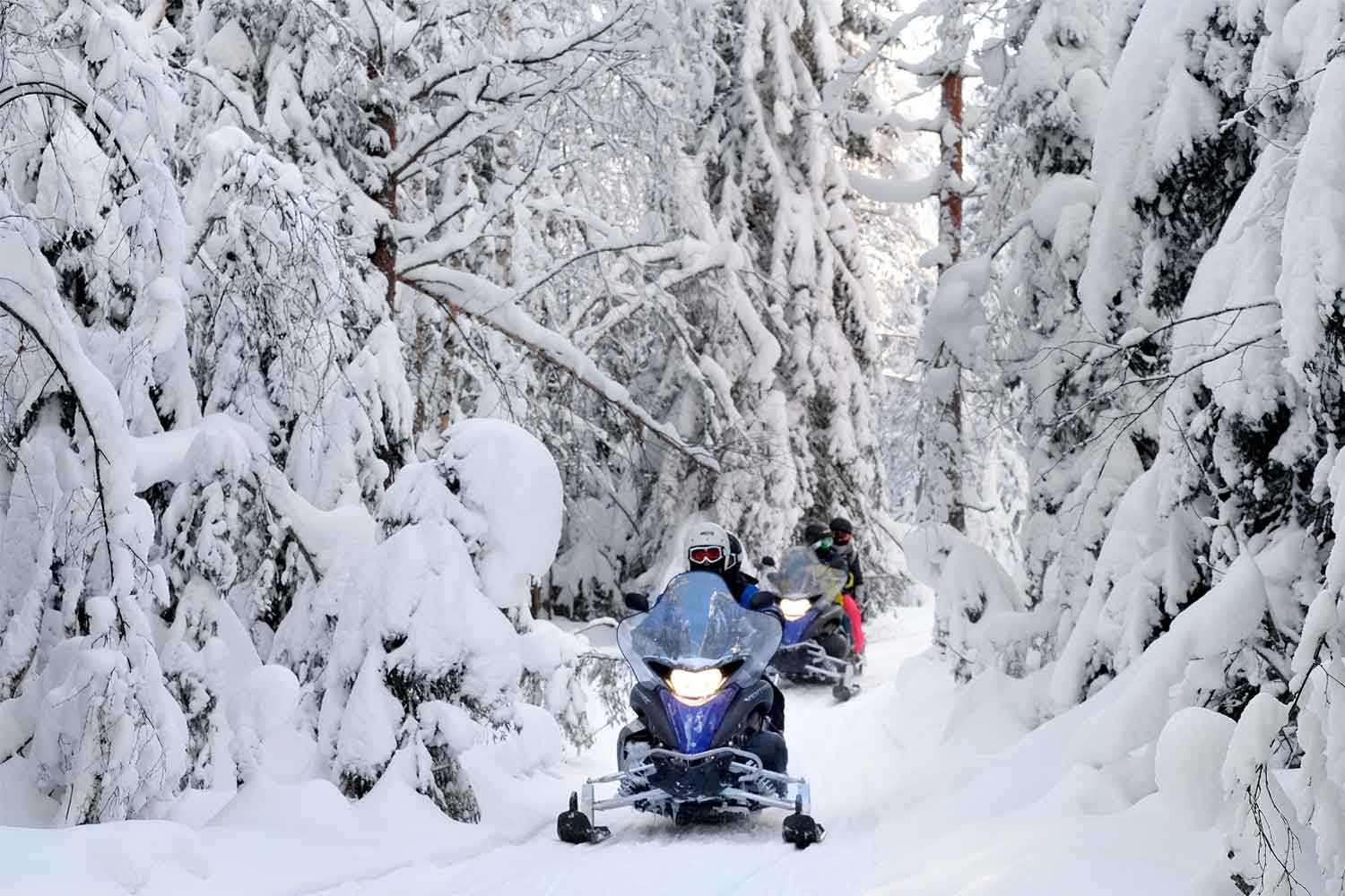 lulea snowmobile tours