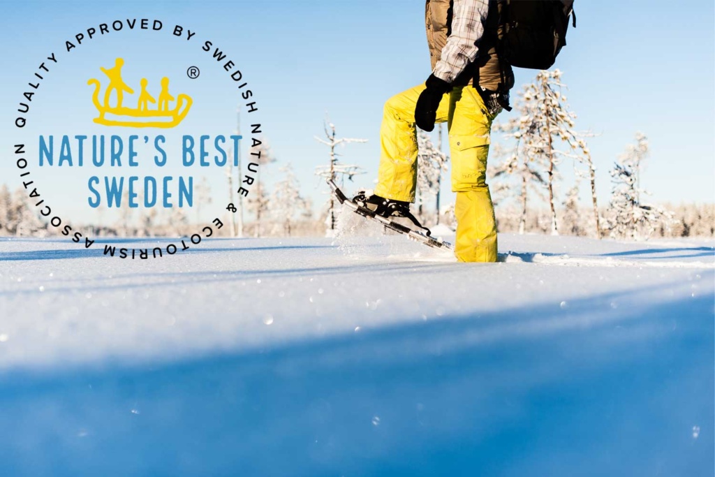 lulea nature tours snowshoe