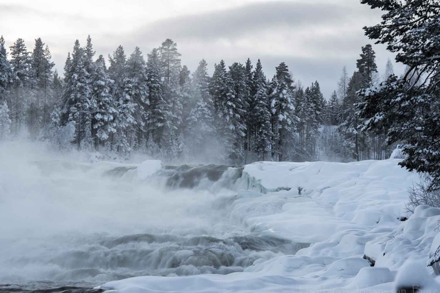 storforsen-lulea guided tours